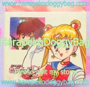 Sailor Moon S : Eraser - Sailor Team (A) (1994) 