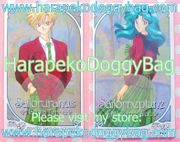 Amada Trading Card : Sailor Moon S : Sailor Neptune & Sailor Uranus Card Set (1994)  