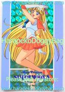 Amada Trading Card : Sailor Moon S Hero Collection 3 : Prism Card #389 (1994) (NEAR EXCELLENT CONDITION)