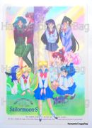 1994 : Sailor Moon S : Shitajiki / Illustration Picture Board : Tree (USED / FAIR CONDITION)