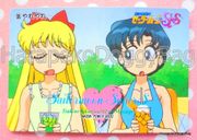 Amada Trading Card : Sailor Moon Super S PP13 : Regular Card #635 (EXCELLENT CONDITION)  