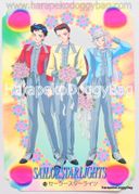 Bandai Trading Cards : Carddass - Sailor Stars Graffiti 11 Wedding Collection - Regular Card #11 (VERY GOOD CONDITION)