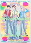 Bandai Trading Card : Carddass - Sailor Stars Graffiti 11 Wedding Collection - Regular Card #10 (1996) (VERY GOOD CONDITION)