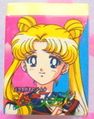 Sailor Stars : Eraser - Eternal Sailor Moon & Usagi Tsukino (1996) 