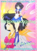 Sailor Stars : Sailor Saturn / Hotaru Tomoe Shitajiki Picture Board (1996)