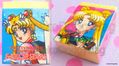 1996 : Sailor Stars : Eraser : Pretty Soldier Sailor Moon / Sailor Stars - Eternal Sailor Moon