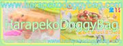 San-S Miniature Toys : Neko Damari - Cat Gathering (Garden Version) (2006) - Miniature Persian Cat Figure 