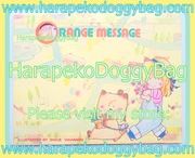 Vintage Nakayoshi Comics Furoku : Orange Message Manga Romantic Letter Paper (June 1980) : Illustrations by Shizue Takanashi