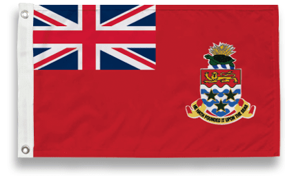2'x3'
