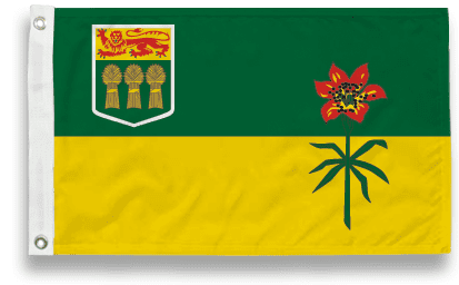 2'x3'