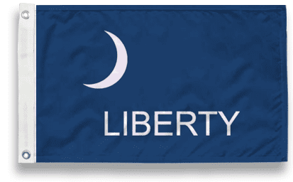 thumbnail image 2 of 3x5 Embroidered South Carolina SC 600D 2ply Nylon Flag 3'x5' Grommets Heavy DUTY 2 of 14