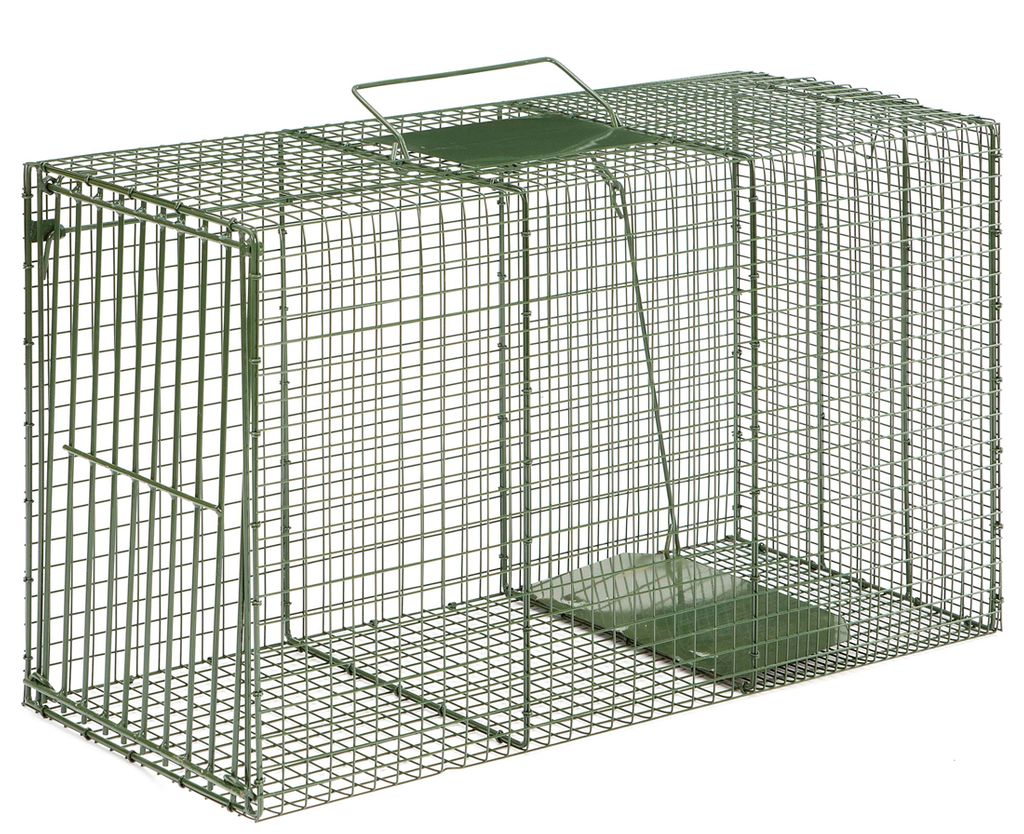 Coyote Live Trap Bait