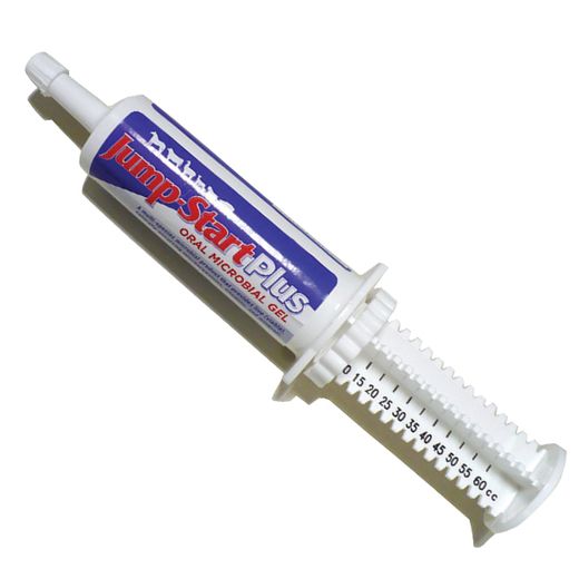 Jump StartPlus 60 Gr. Multi Species