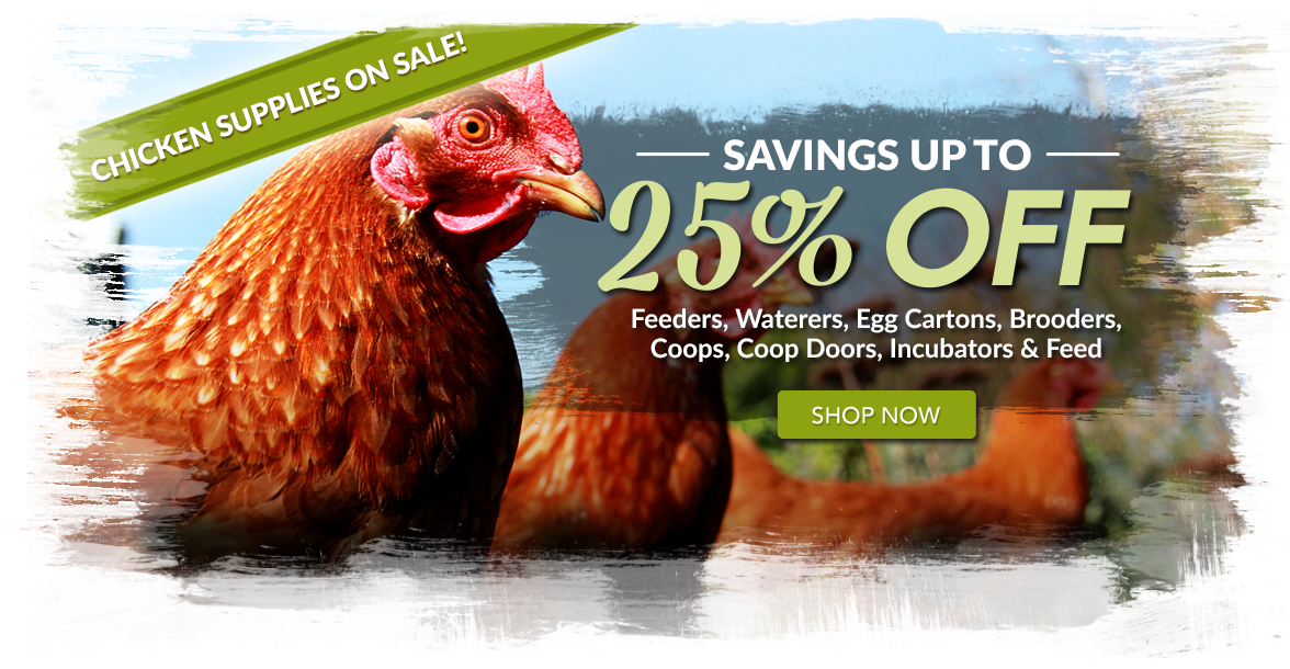 Fleming Outdoors Free Shipping Over 99