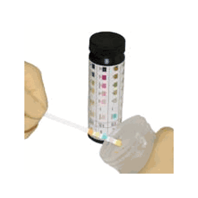 10 Parameter Reagent Strips By Lw Scientific
