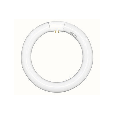 Lamp, Fl Circline Full Spectrum 22w - - Dazo