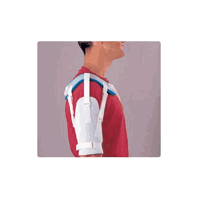 3 Adjustable Strap Large, 15 - 16-1/2 Inch Bi