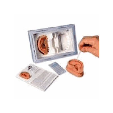 Acupuncture Ear Set, Left and Right