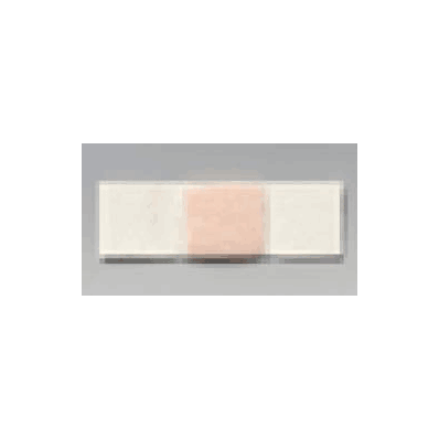 Adhesive Dressing Polymem Strip 1 X 3 Inch -
