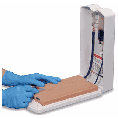 Advanced Four-Vein Venipuncture Training Aid