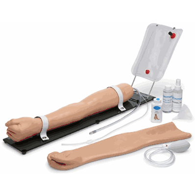Venous Train Arm Left Lght