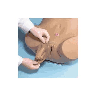 Advanced Patient Care Simulator