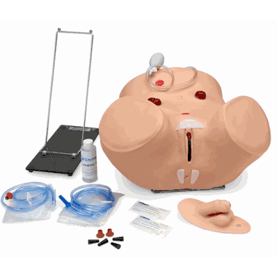 Male/Female Cath Adv Sim L