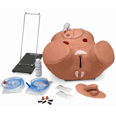 Male/Female Cath Adv Sim M