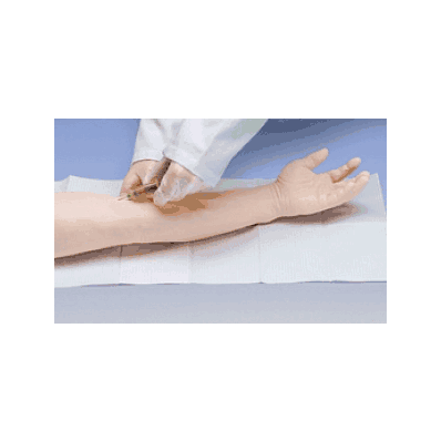 Advanced Venipuncture and Injection Arm,