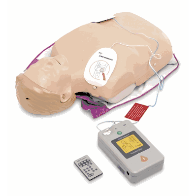 Trainer Little Anne AED
