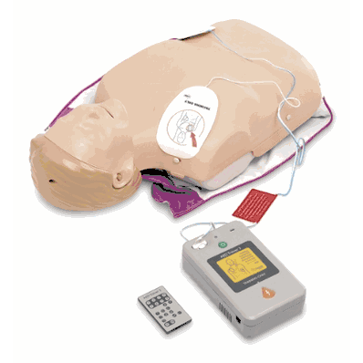 Aed Lil Anne System 3