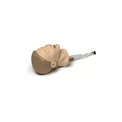 Airway Trainer Update Kit Resusci Anne - Man