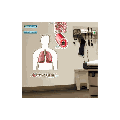 Anatomical Chart Asthma In Lungs (Labeled) -