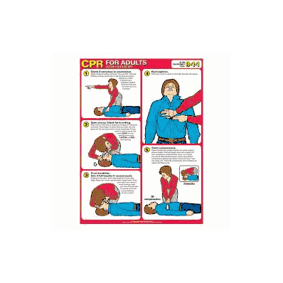 Anatomical Chart Cardiopulmonary Resuscitatio