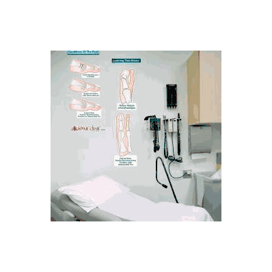 Anatomical Chart Conditions Of The Foot - Ser