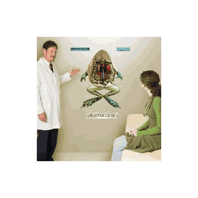 Anatomical Chart Frog Anatomy - Chart, Frog A