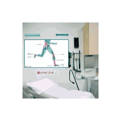 Anatomical Chart Lower Extremity Ailments (La