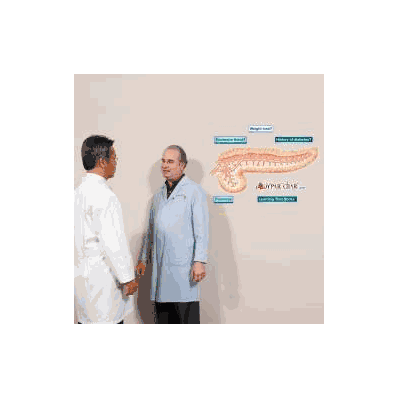 Anatomical Chart Pancreas - Chart, Pancreas S