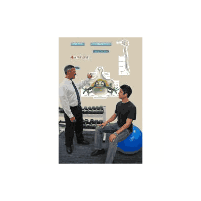 Anatomical Chart Protection Of Spinal Cord (L