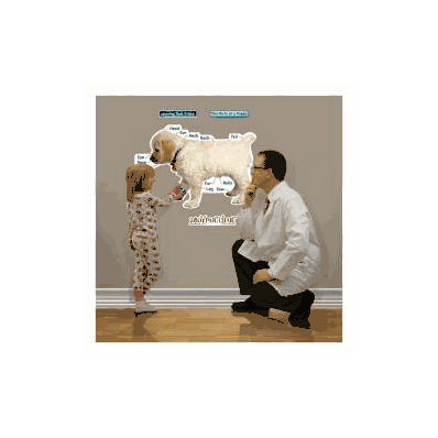 Anatomical Chart Puppy (Labeled) - Chart, Pup