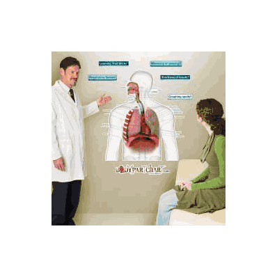 Anatomical Chart Respiratory System (Labeled)