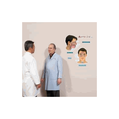 Anatomical Chart Sinuses (Labeled) - Chart, S
