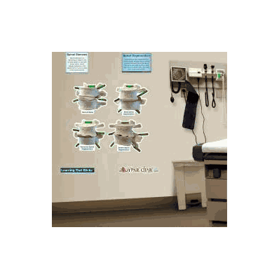 Anatomical Chart Spinal Degeneration (Labeled