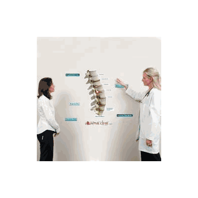 Anatomical Chart Spine Conditions (Labeled) -