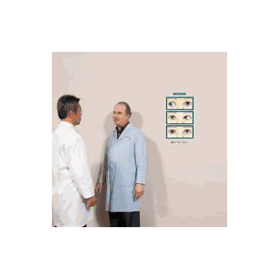 Anatomical Chart Strabismus, Amblyopia, And D