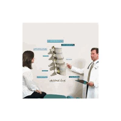 Anatomical Chart Subluxation - Chart, Subluxa