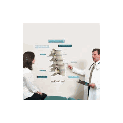 Anatomical Chart Subluxation (Labeled) - Char