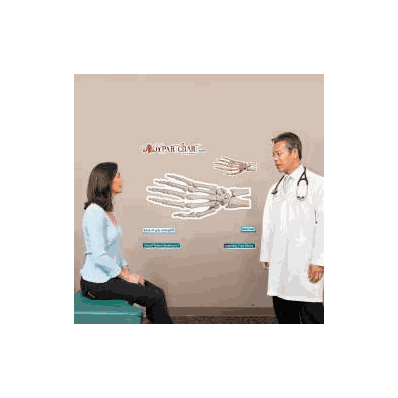 Anatomical Chart Wrist And Hand - Chart, Wris