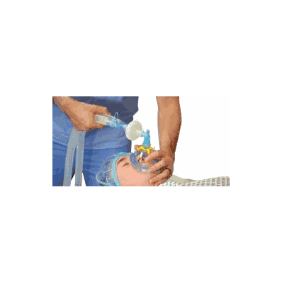 Anesthesia Circuit Flexicare Adult Parallel