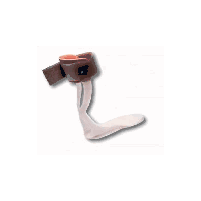 Ankle / Foot Orthosis Support Large / X-larg